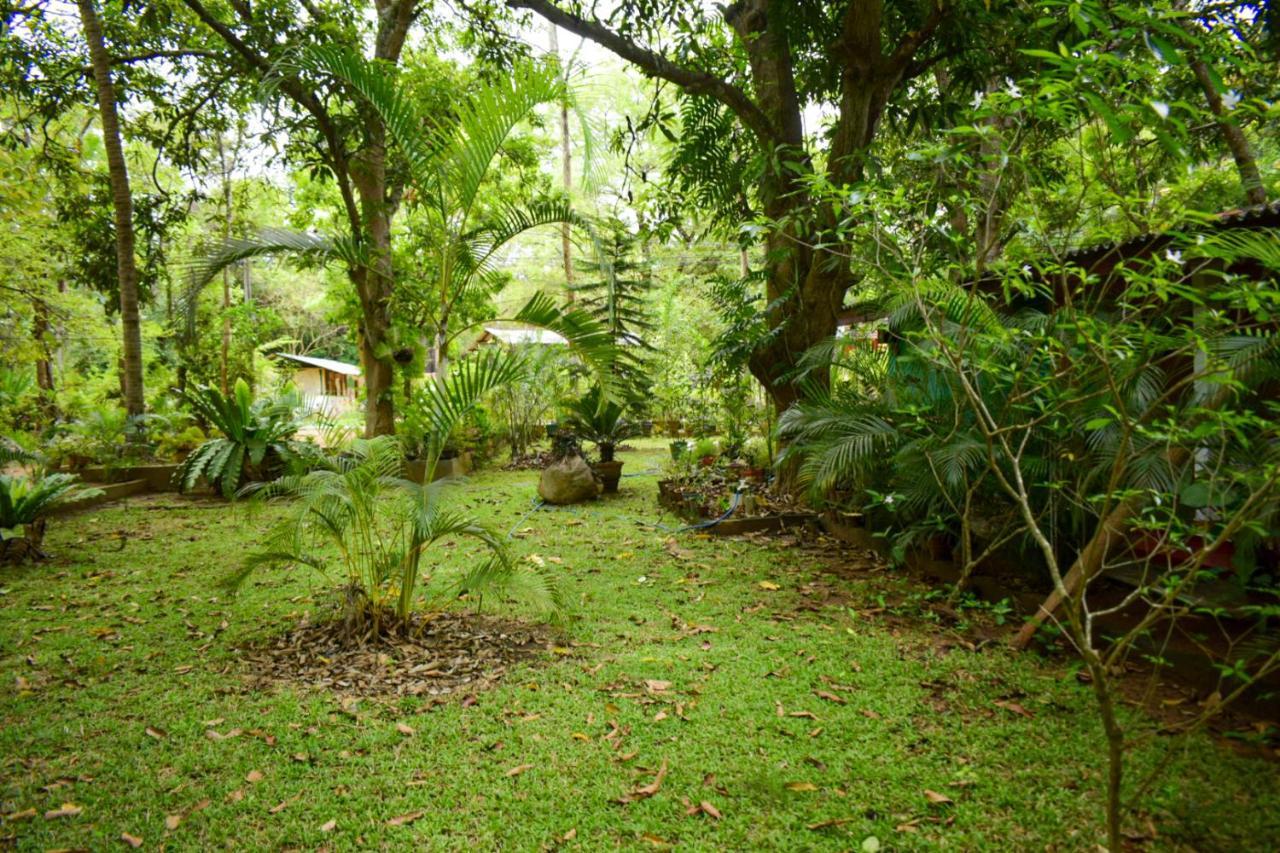 Palitha Homestay Sigiriya Exterior photo