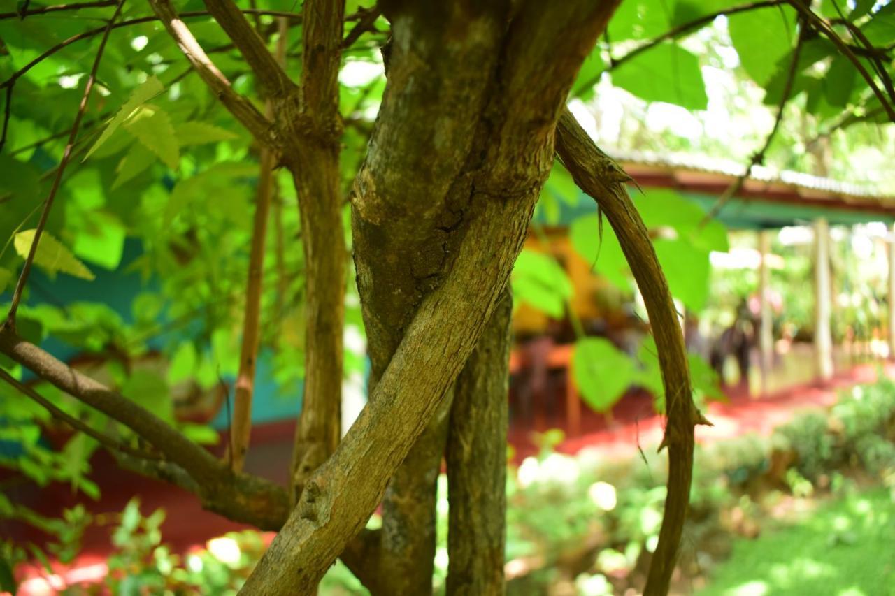 Palitha Homestay Sigiriya Exterior photo